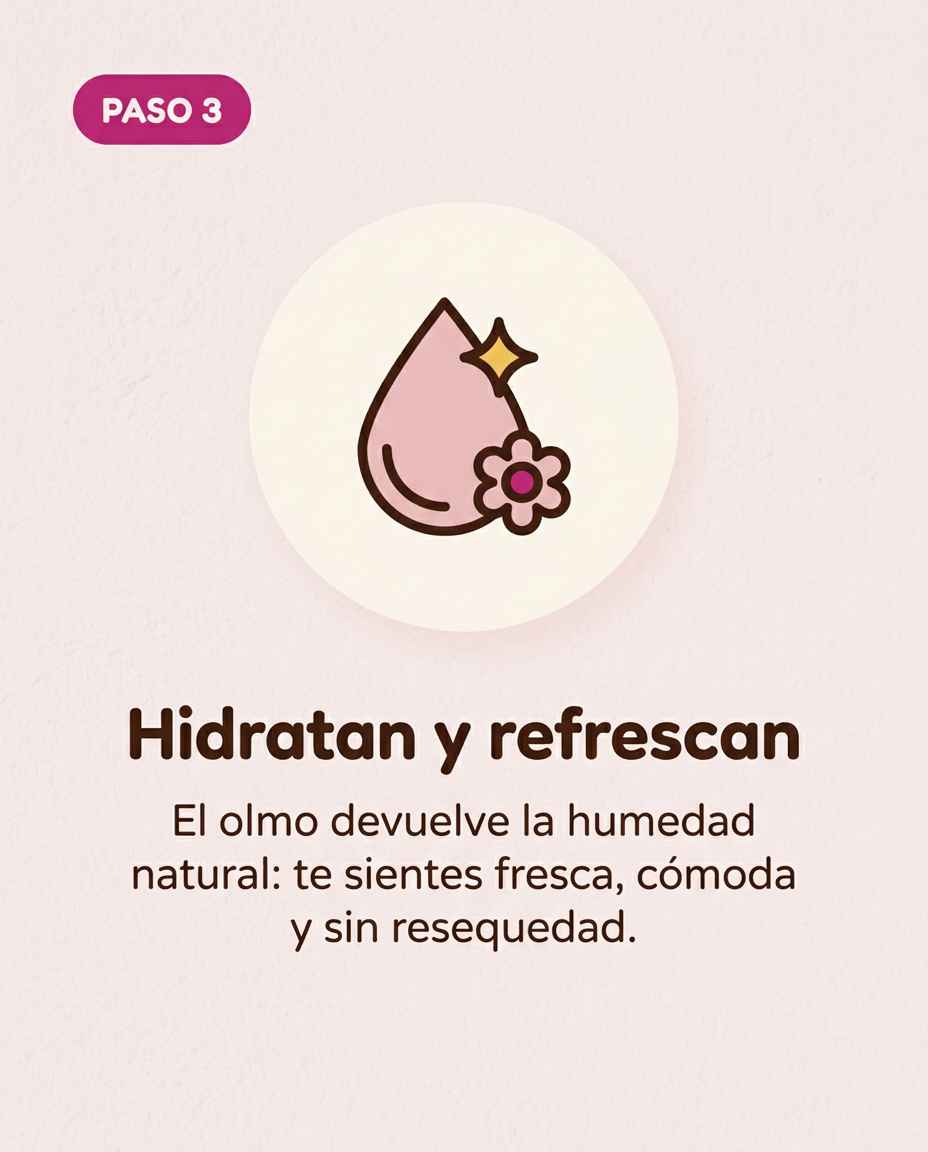 ¿Cómo actúa Leefar por dentro?