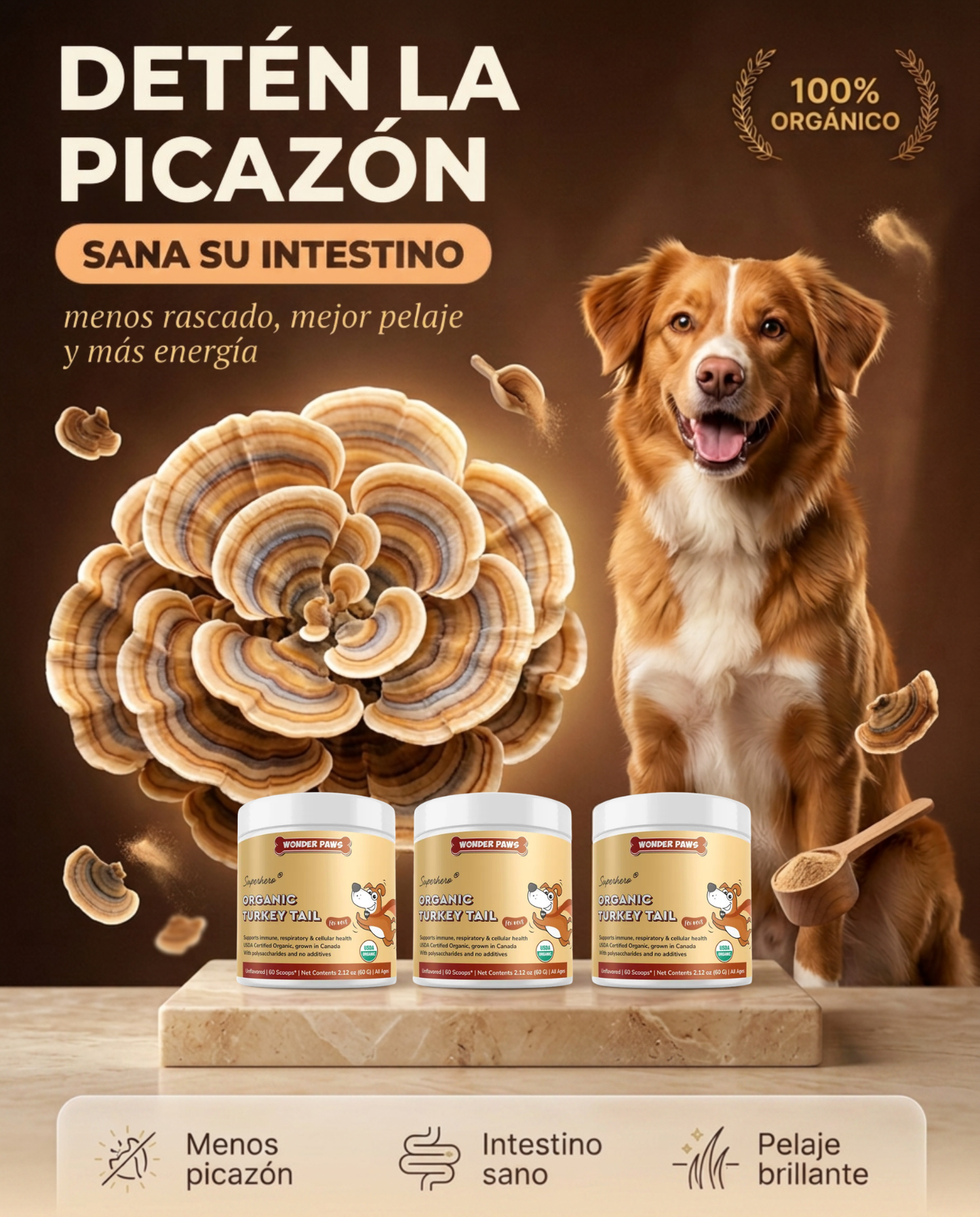 Turkey Tail Wonder Paws® - Hongo Cola de Pavo Orgánico