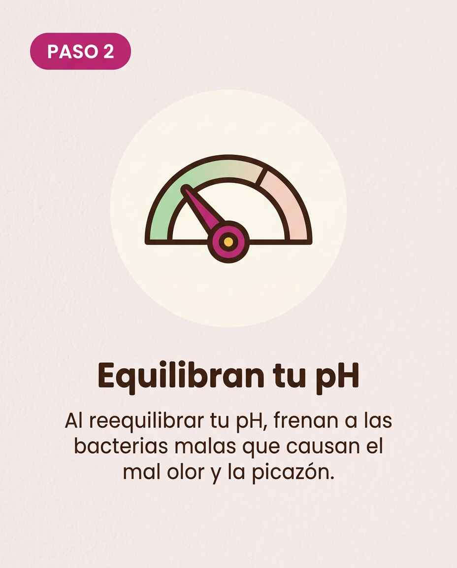 ¿Cómo actúa Leefar por dentro?