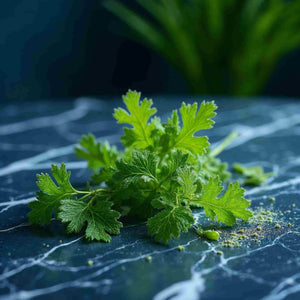 Ortiga(Stinging Nettle)