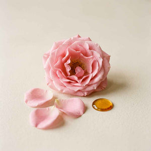 EXTRACTO DE ROSAS