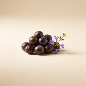 VITEX